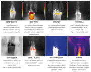 FT31 - Termokamera pre hasičov - #5
